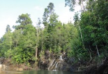 Biraddali Mini Falls- the treasure of Languyan