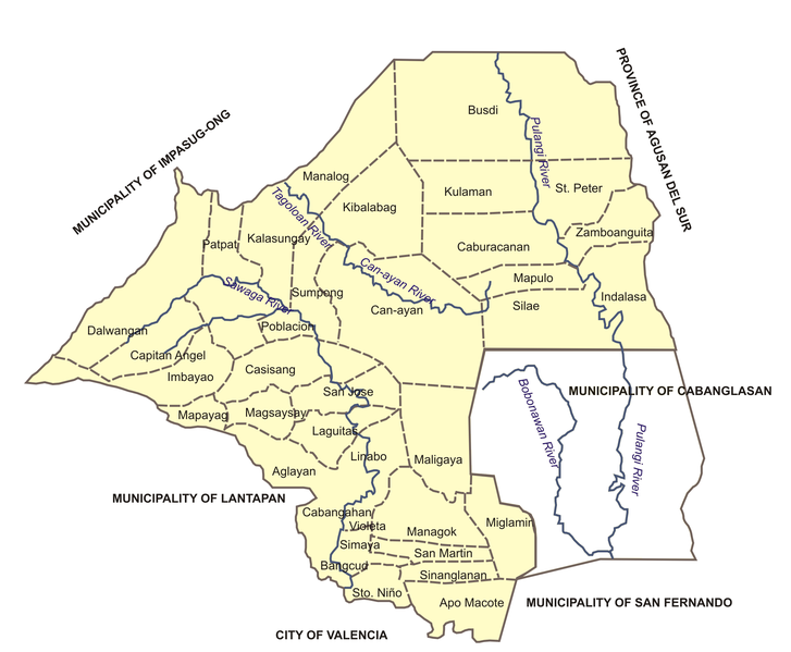 Malaybalay City Political Map | Malaybalay City Barangay Elections 2013