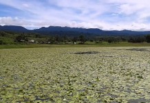 Marayag Lake in Buldon, Maguindanao