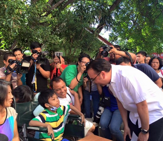 Alan-Peter Cayetano Background